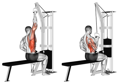 Lat Pulldown Lat Pulldown