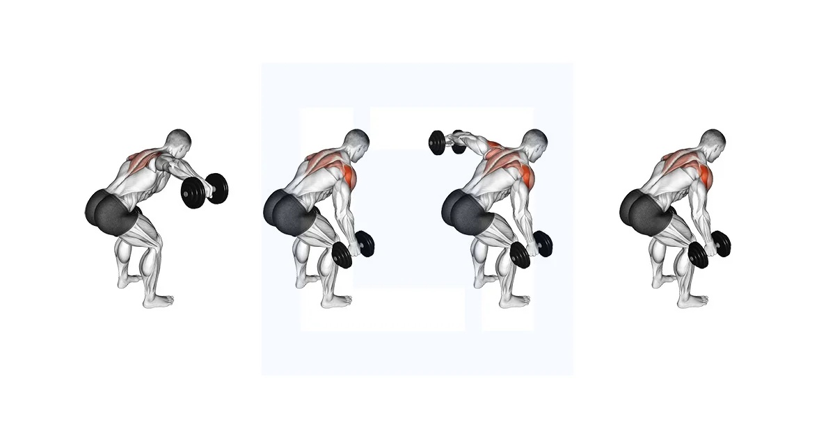 Rear Delt Fly